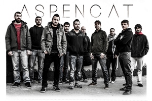 aspencat-300